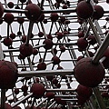 DSC00519.jpg