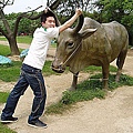 P1010013.jpg