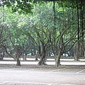 IMG_7832.jpg