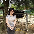 P1010042.jpg