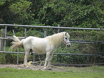DSC00203.jpg