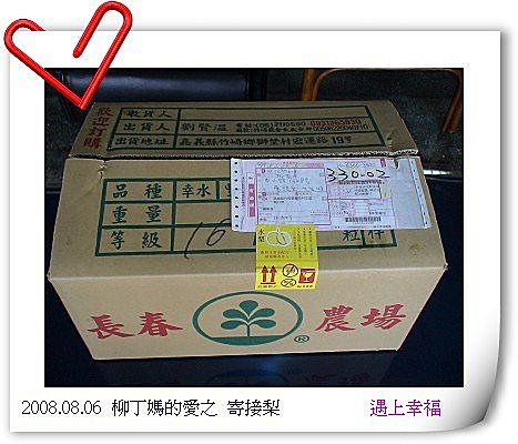2長春農場 寄接梨.jpg