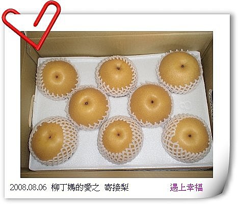1長春農場 寄接梨.jpg