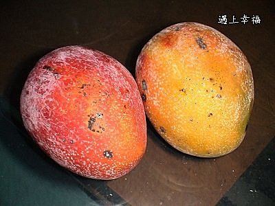 愛文芒果