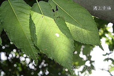 16 2010.07.03 桂山發電廠.jpg