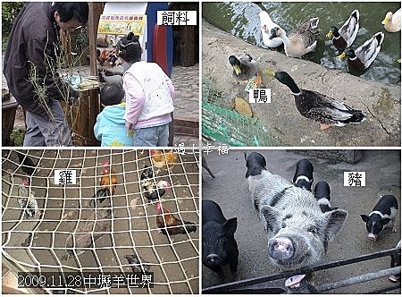 04 2009.11.28中壢羊世界.jpg