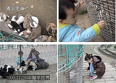 03 2009.11.28中壢羊世界.jpg