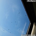 07-2011.09.23 龍潭上課去 05.jpg