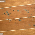 2012.10.27--.jpg