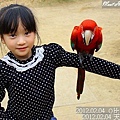 08-2012.02.04 天馬牧場35-1.jpg