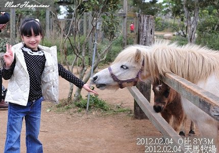 37-2012.02.04 天馬牧場15.jpg