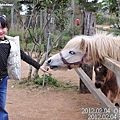 37-2012.02.04 天馬牧場15.jpg