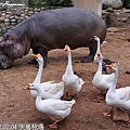 40-2012.02.04 天馬牧場12.jpg