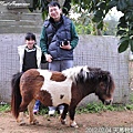 46-2012.02.04 天馬牧場08.jpg