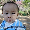 酷比 canon 1000D試拍6.jpg