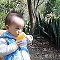 酷比 canon 1000D試拍8.jpg