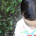 27採柳丁 酷比認真的樣子好可愛.jp