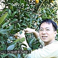 13採柳丁 Q比酷比到五姑婆的果園採