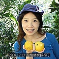 24採柳丁 Q比酷比到五姑婆的果園採
