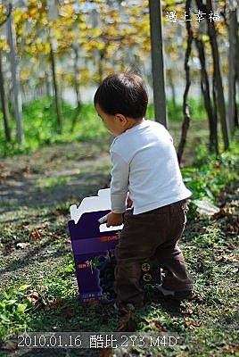 23 20100116 鎮雄葡萄園