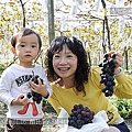 08 20100116 鎮雄葡萄園