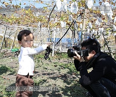 09 20100116 鎮雄葡萄園