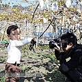 09 20100116 鎮雄葡萄園