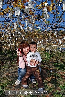 18 20100116 鎮雄葡萄園