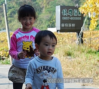32 20100116 鎮雄葡萄園