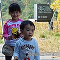 32 20100116 鎮雄葡萄園