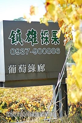 30 20100116 鎮雄葡萄園