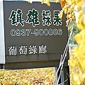 30 20100116 鎮雄葡萄園