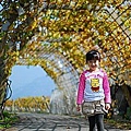 27 20100116 鎮雄葡萄園