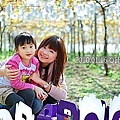 26 20100116 鎮雄葡萄園