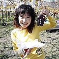 07 20100116 鎮雄葡萄園