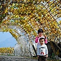 28 20100116 鎮雄葡萄園