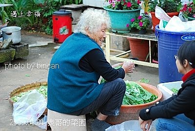 45表哥的菜園.jpg