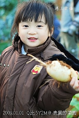 34表哥的菜園 拔蘿蔔.jpg