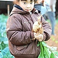 30表哥的菜園 拔蘿蔔.jpg