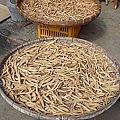27表哥的菜園 白蘿蔔干.jpg