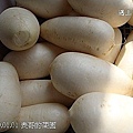 22表哥的菜園 白蘿蔔.jpg