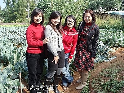 7表哥的菜園.jpg