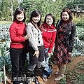 7表哥的菜園.jpg