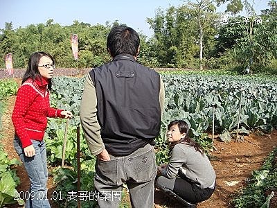 8表哥的菜園.jpg