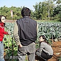 8表哥的菜園.jpg