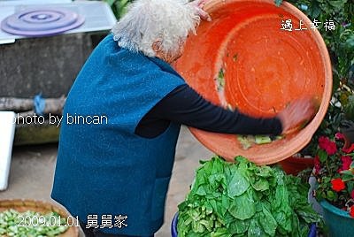 48表哥的菜園.jpg