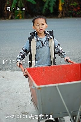44表哥的菜園.jpg