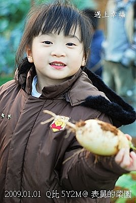 33表哥的菜園 拔蘿蔔.jpg