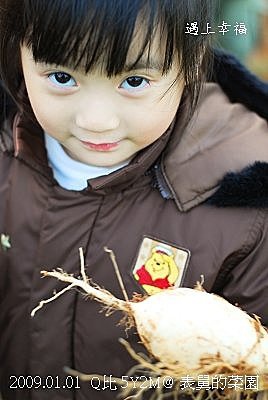 32表哥的菜園 拔蘿蔔.jpg