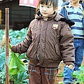 31表哥的菜園 拔蘿蔔.jpg